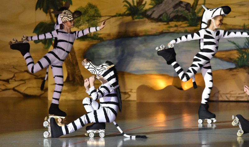 Lionking 0354.JPG